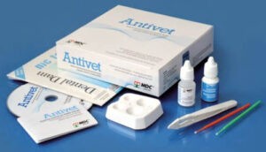 Antivet Kit Dental Whitening and Enamel Cleaning Kit NEW Treatment to Fluorosis