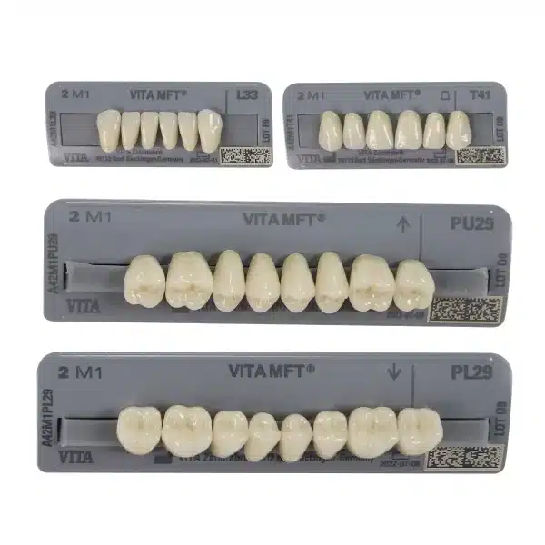Vita MFT Denture Teeth 2M1 (Set of 28)