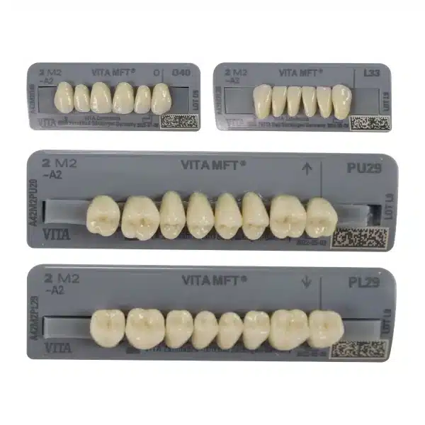 Vita MFT Denture Teeth 2M2 (Set of 28)